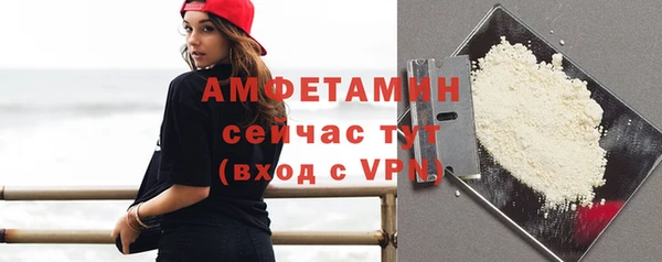 прущие грибы Пестово