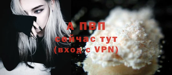 стафф Осташков