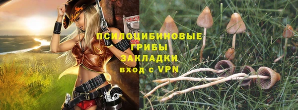 стафф Осташков