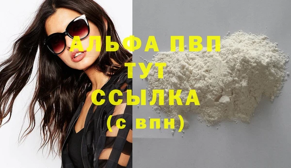 стафф Осташков