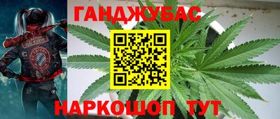 СК Гусев