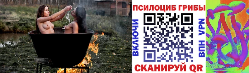 Галлюциногенные грибы мицелий Кропоткин