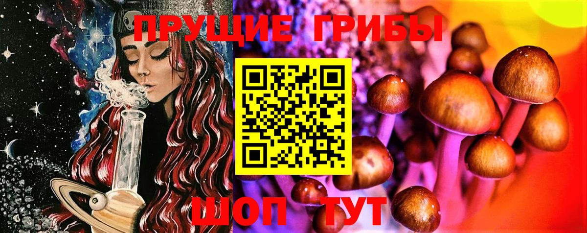 Галлюциногенные грибы Cubensis Кропоткин