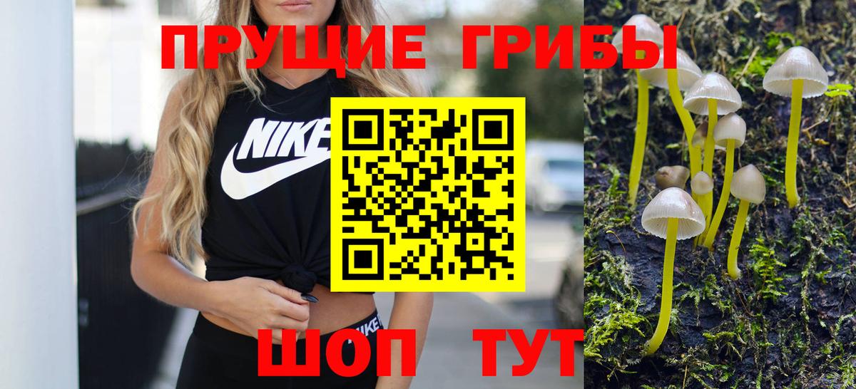 Кропоткин  Галлюциногенные грибы Magic Shrooms  Галлюциногенные грибы MAGIC MUSHROOMS  Вход с VPN 